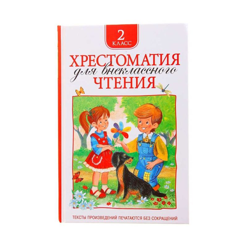 Чтение 2 класс коррекционная школа. Читок 2. Литературное чтение обложка. Самыкина литературное чтение 2 класс. Интересные детские книги.